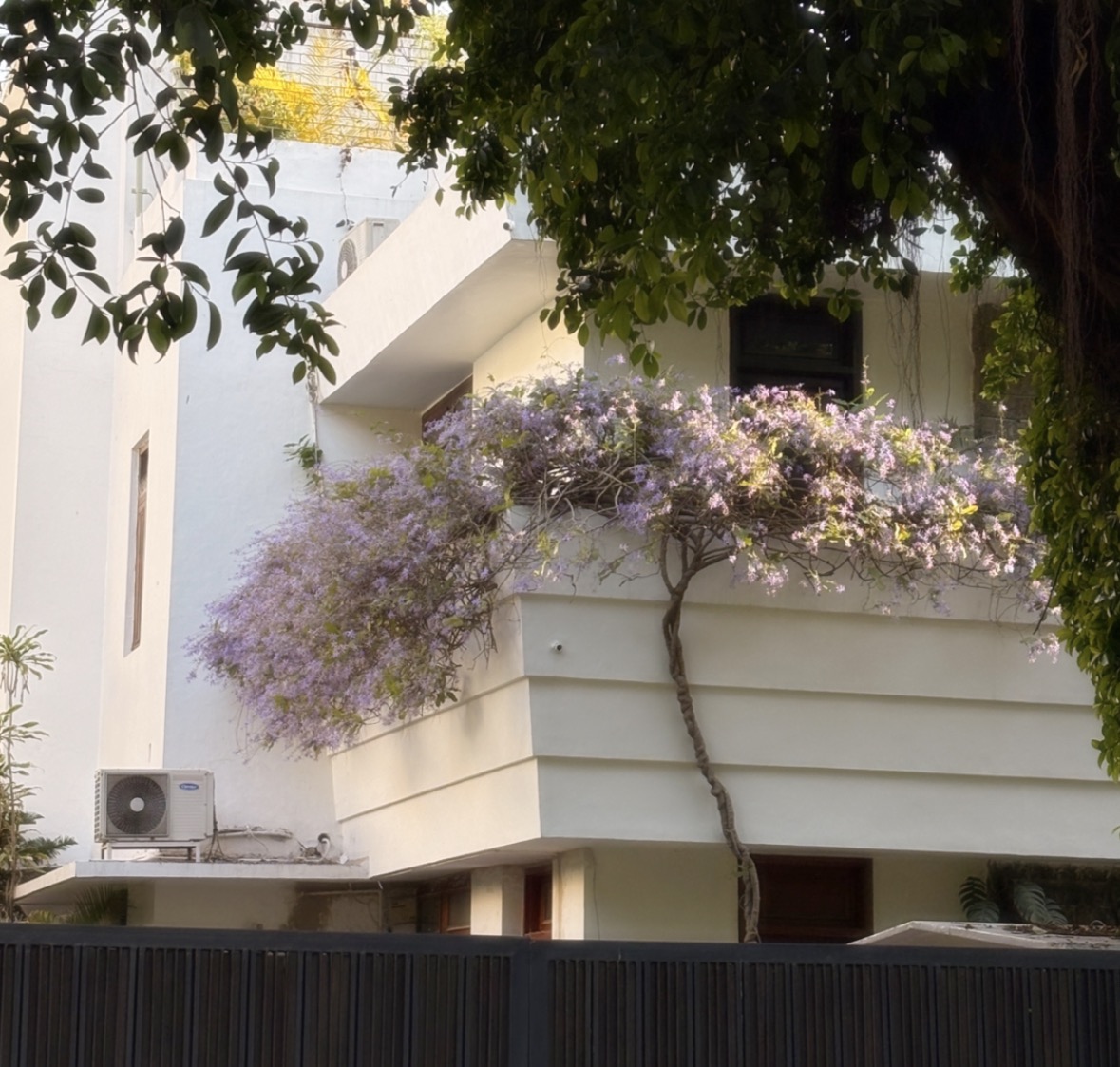 Delhi